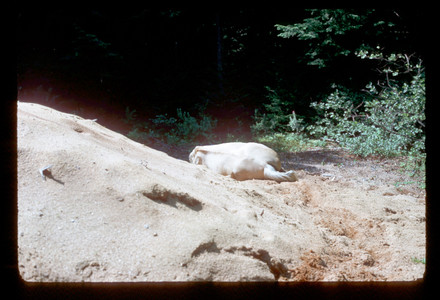 Slide969.jpg